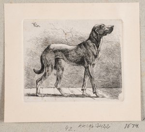 En stående hund