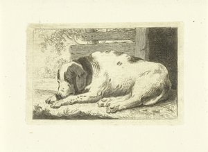sovende hund