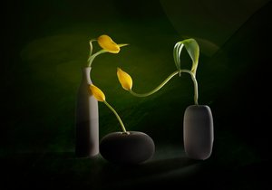 Grønne og gule blomstervaser