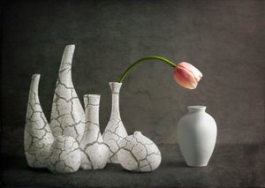 Rosa tulipanvaser med revner