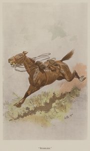 Rytterløs (farve litho)