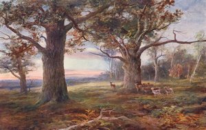 I udkanten af Sherwood-skoven (farvelitografi) af John (after) MacWhirter