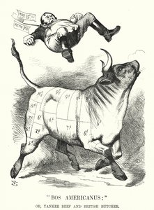 Punch tegnefilm: Bos Americanus; eller Yankee Beef og British Butcher - forventede fordele for forbrugerne ved at importere amerikansk kød (gravering) af John (after) Tenniel