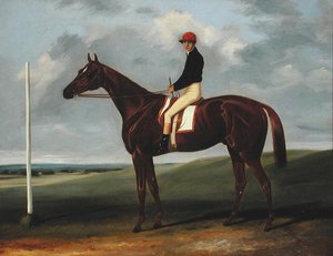 Kastanjeføl med Jockey op og startstolpe (olie på lærred)