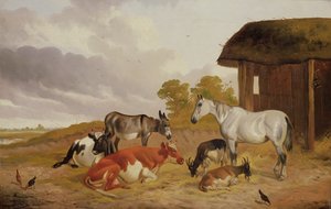 Gårdskammerater
