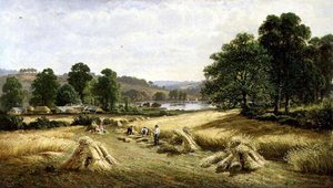 Indsamling af det gyldne korn nær Bishopsteignton, Plymouth af John Barrett