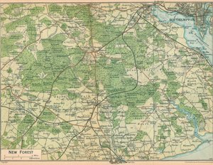 New Forest, c20th Century af John Bartholomew