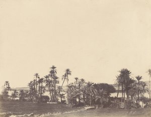 [Nilens bredder, Kalabsché] af John Beasley Greene