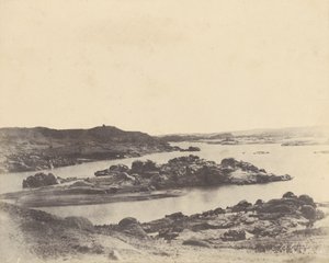 Elefant. Første grå stær af John Beasly Greene