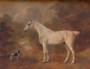 En loppebidt grå og en plettet terrier, 1803.