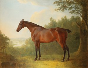 Marquis, en bugtjæger i et landskab, 1811