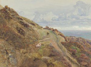 Bonchurch Downs, 1865. af John Brett