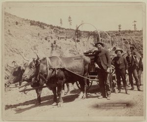  af John C. H. Grabill