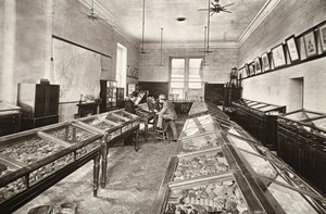 Museum, Camborne Mining school, illustration fra 