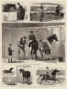 Skitser ved Islington Horse Show