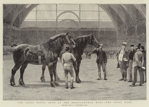 Shire Horse Show i Landbrugshallen, den sidste duel