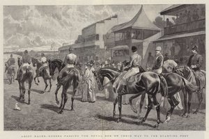 Ascot Races, Heste, der passerer Royal Box på vej til startposten