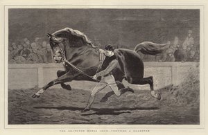 Islington Horse Show, der traver en Roadster af John Charlton