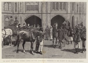 Dronningen modtager på Windsor Castle de fem arabiske heste overrakt til hendes majestæt af sultanen af Muscat