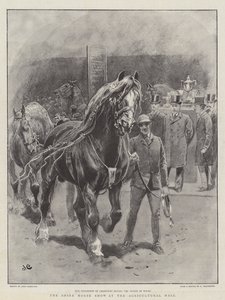 The Shire Horse Show på Landbrugshallen