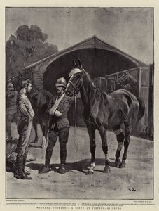 Sårede kammerater, en scene i Pietermaritzburg