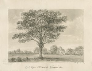 Boscobel - The Royal Oak: sepia drawing, 1820dani af John Chessell Buckler