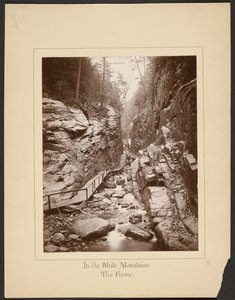 I de hvide bjerge/The Flume af John Coates Browne