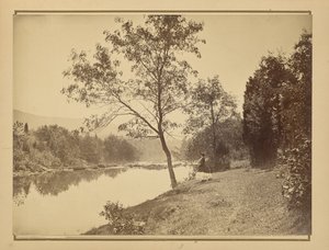 Matteawan Creek. Dutchess Co. N.Y. af John Coates Browne