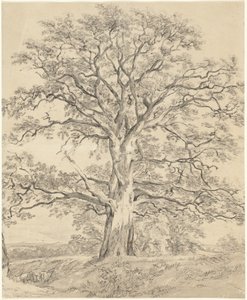 Et stort egetræ af John Constable