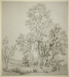 En bevoksning af elmetræer (recto); Et studie af Østre Bergholt med kirken (verso) af John Constable
