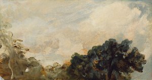 Cloud Study with Trees, 1821 (olie på papir lagt om bord) af John Constable