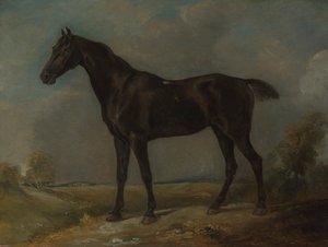 Golding Constables sorte ridehest af John Constable