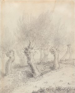 Kronbeskårne piletræer af John Constable
