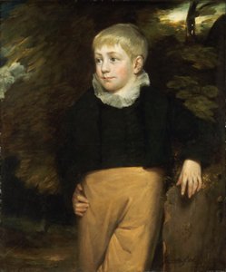 Portræt af Master Crosby af John Constable