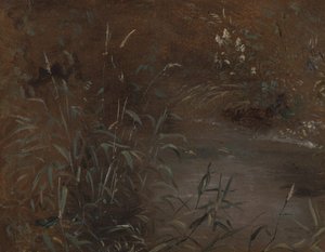 Skynder ved en pool af John Constable