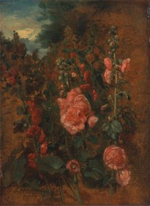 Undersøgelse af stokroser af John Constable