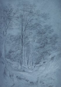 Studie af aske og andre træer (blyant på papir, forhøjet med hvidt kridt) af John Constable