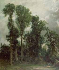 Træer ved Hampstead af John Constable