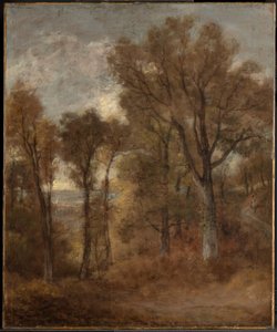  af John Constable