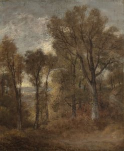 Skovscene med udsigt over Dedham Vale, ca. 1802-03 af John Constable