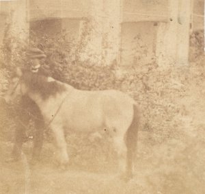 [Mand og Hest, Regeringshuset, Allahabad], 1858. af John Constantine Stanley
