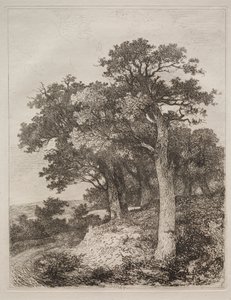 Hos Colney. af John Crome