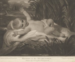 Moses i bulrushes