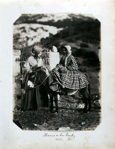 Eleanor og hendes æsel af John Dillwyn Llewelyn