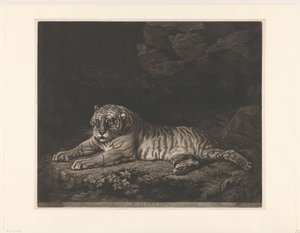 Tijgerin En Tigress (titel på objekt)