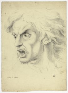 Frygt af John Downman