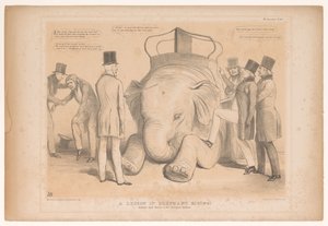 Spotprent over de aanstelling af Henry Hardinge som guvernør i Indien En lektion i elefantridning! Studeret fra Nature in the Zoological Gardens (titel på objekt) HB Sketches (serietitel på objekt) af John Doyle