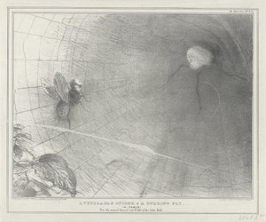 Talleyrand als een spin in zijn web, 1832 En ærværdig edderkop og en summende flue. (En fabel) (titel på objekt) Politiske skitser (serietitel) af John Doyle