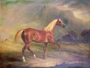 Kastanje araberhingst af John E. Ferneley