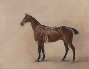 Studie af en sadlet bugtjæger af John E. Ferneley
